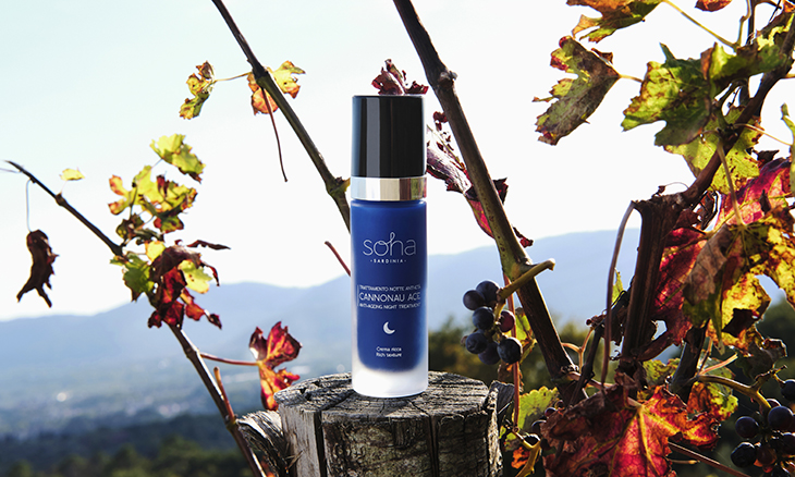 REGENERATES YOUR SKIN